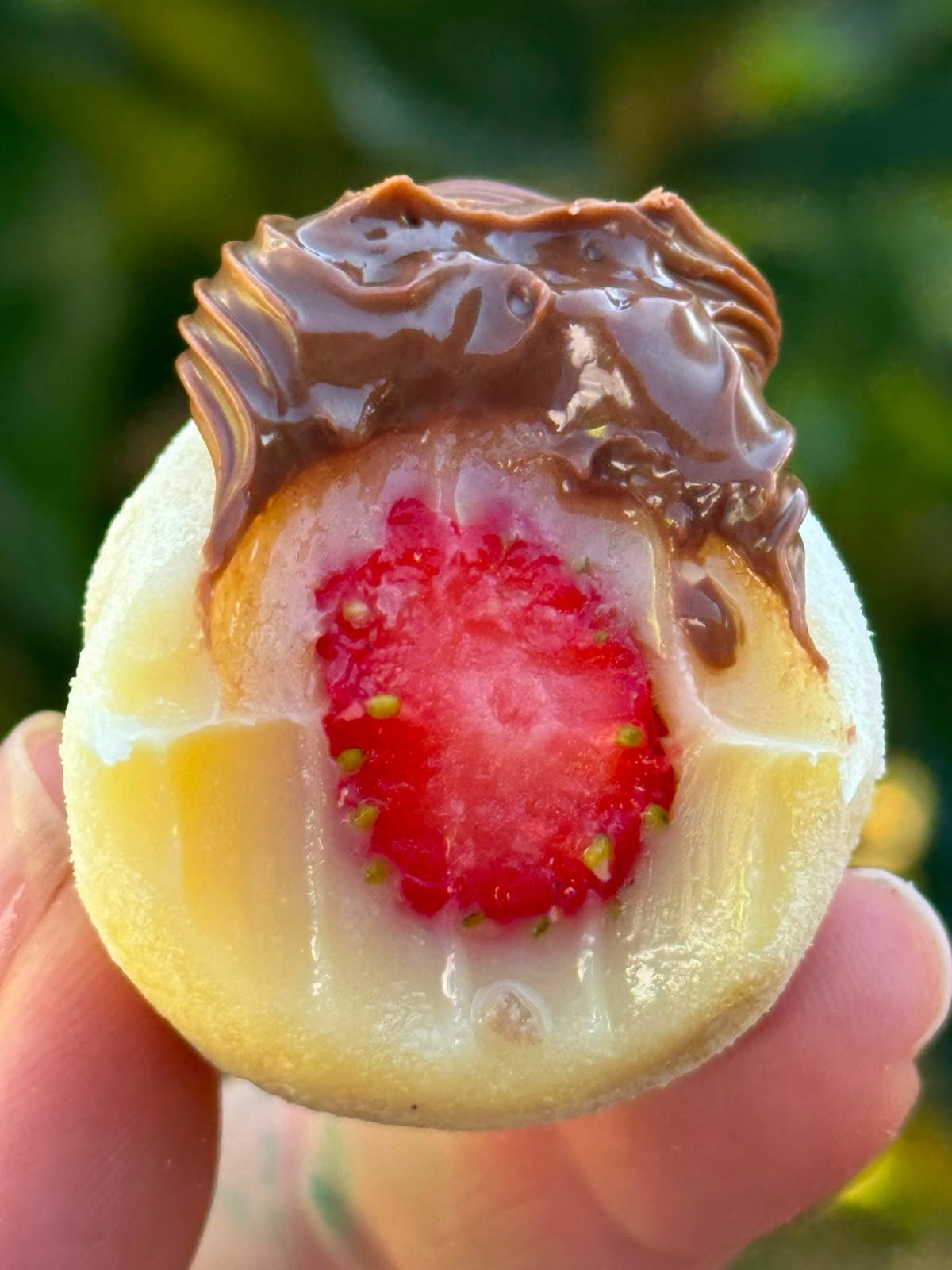 Doce ninho com nutella e morango